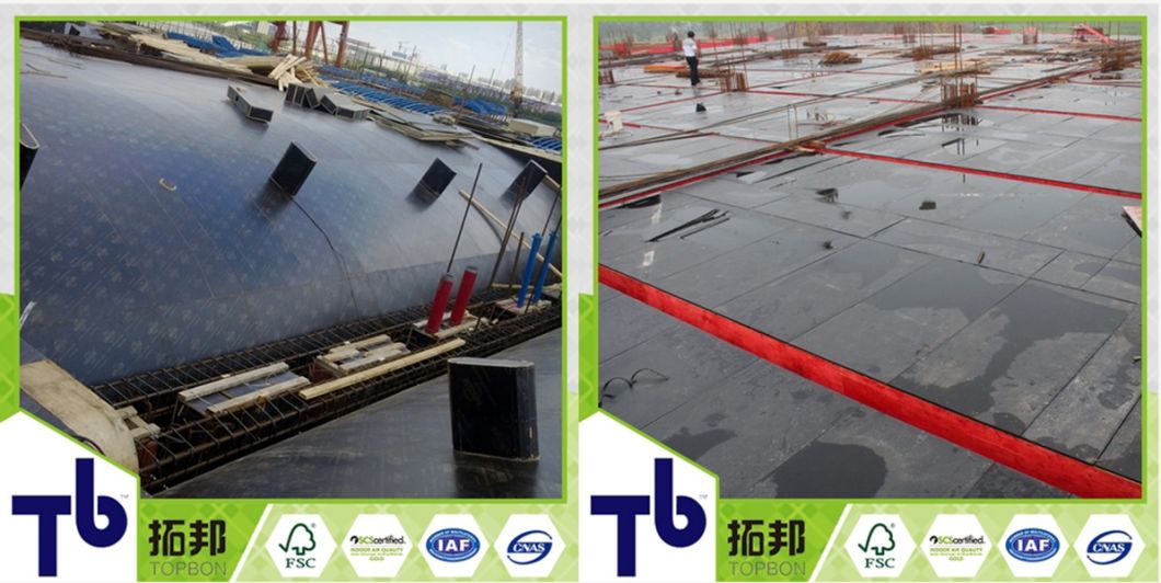 Pel&iacute;cula impermeable con cara contrachapada para la construcci&oacute;n.