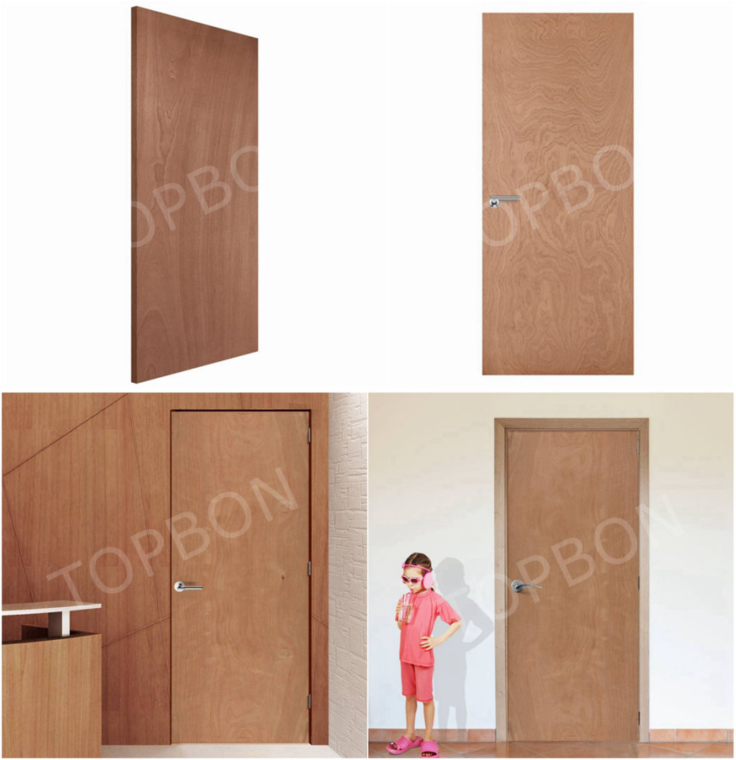 Puerta/puerta de madera contrachapada con precio barato