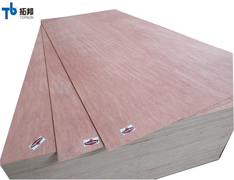 Madera contrachapada de bintangor de primera calidad con precio al por mayor
