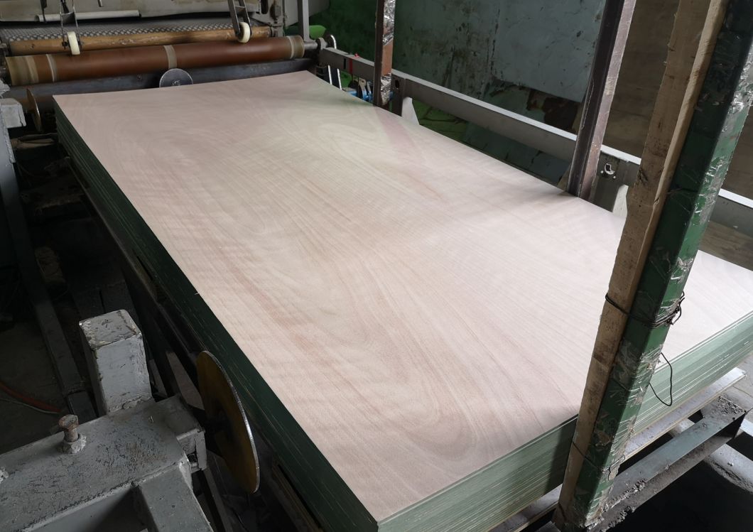 MDF / MDF verde / MR MDF con alta calidad